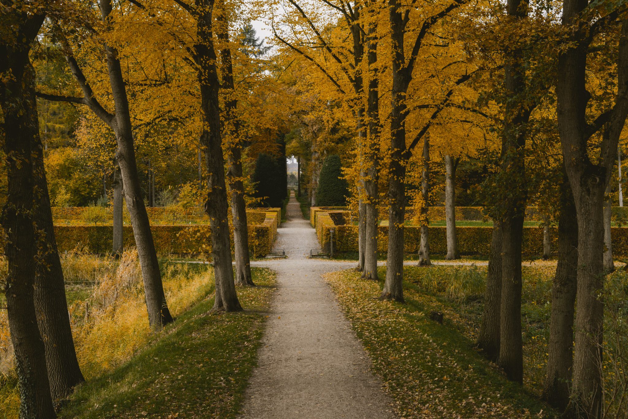 Historische tuinlaan in herfstkleuren